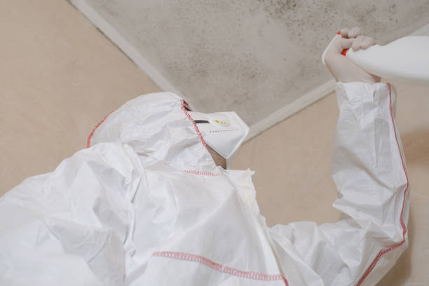 Mold Remediation for Vacation Homes in Franklin, VA